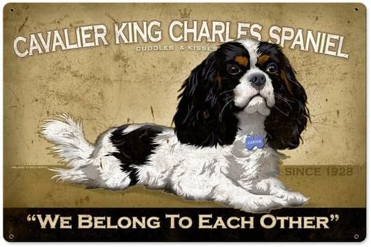 Home Bar And Coffee - Retro Metalowy Znak Blaszany Cavalier King